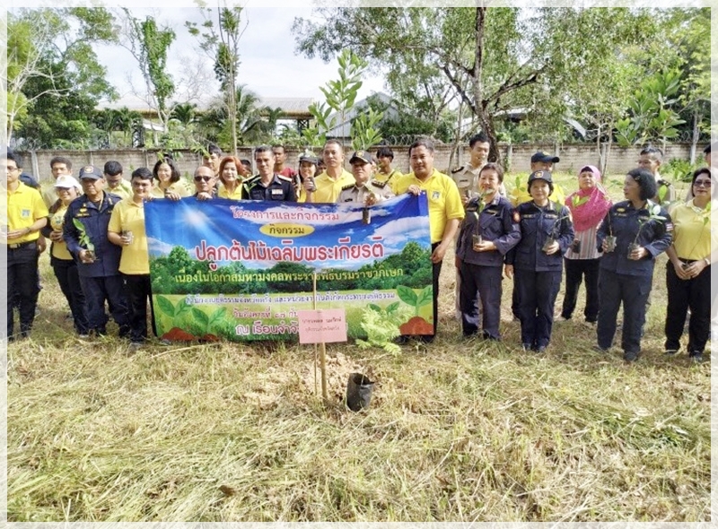 ﻿สำนักงานบังคับคดีจังหวัดตรัง เข้าร่วมโครงการปลูกต้นไม้เฉลิมพระเกียรติเนื่องในโอกาสมหามงคลพระราชพิธีบรมราชาภิเษก